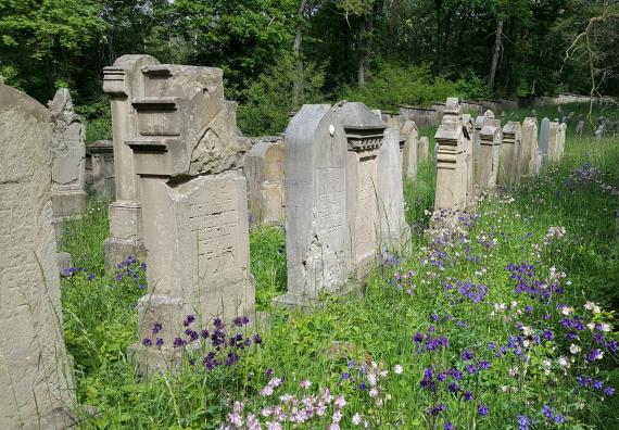 Burgkunstadt cemetery BLfD