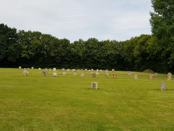 Wallerstein Friedhof BLfD