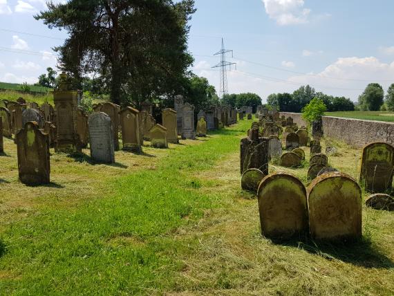 Allersheim cemetery BLfD