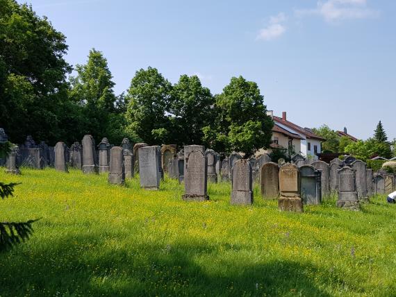 Höchberg cemetery BLfD