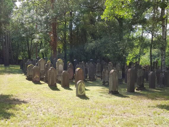 Aschaffenburg cemetery BLfD