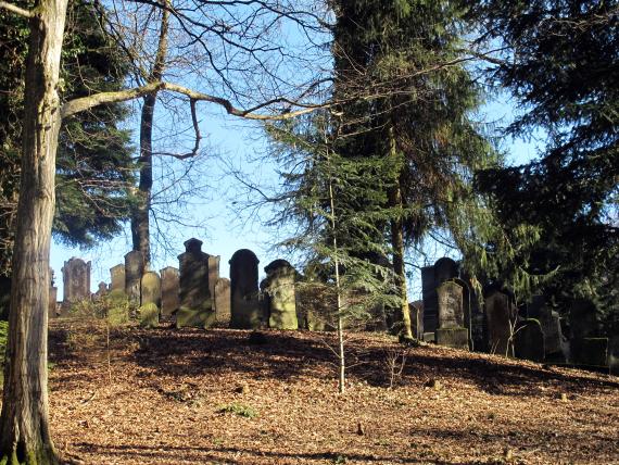 Illereichen Cemetery Wiki