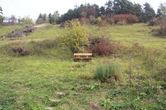 Unsleben Jüdischer Friedhof  - HdBG/Albert