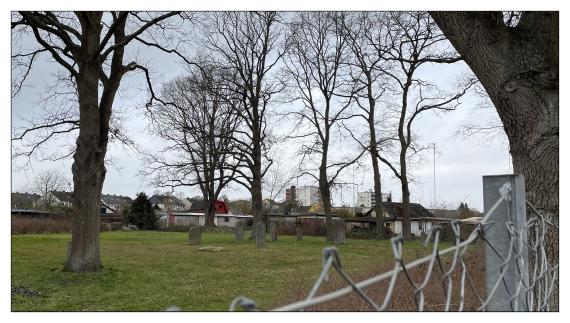 Jüdischer Friedhof Peine
