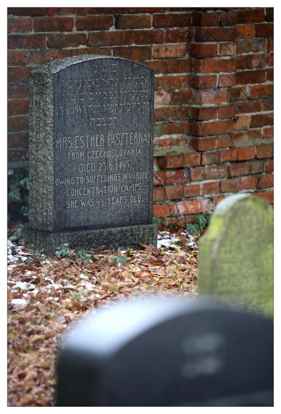 Jüdischer Friedhof Celle