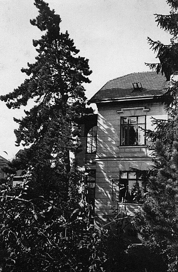 Photo of house with tree