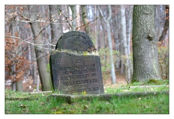 Jüdischer Friedhof Wettensen