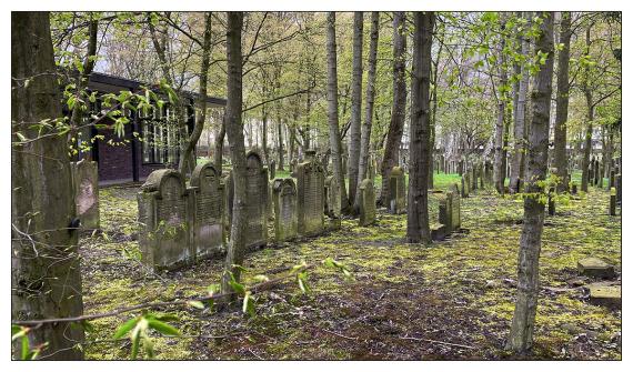 Jüdischer Friedhof Altona - Aschkenasisches Gräberfeld