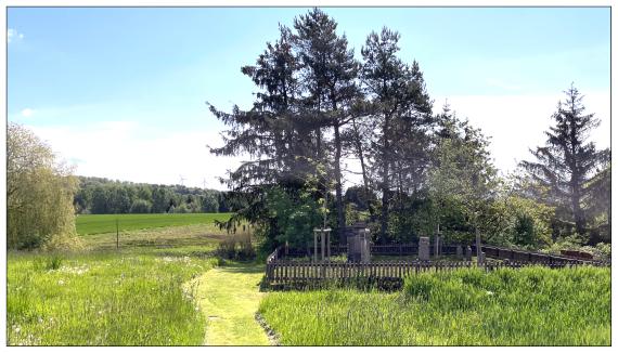 Jüdischer Friedhof Duingen
