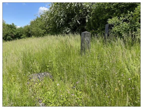 Jüdischer Friedhof Groß Freden