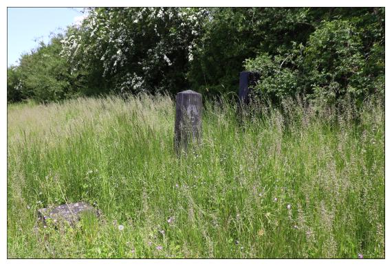 Jüdischer Friedhof Groß Freden