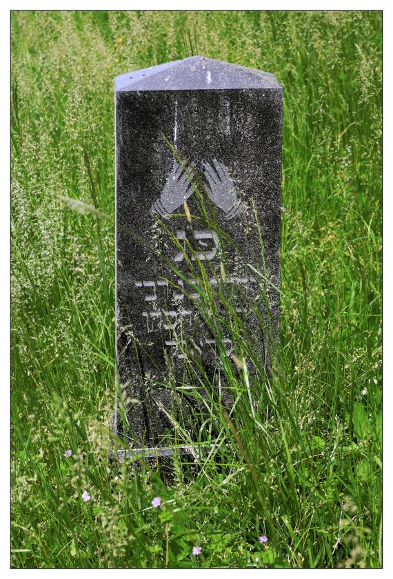Jüdischer Friedhof Groß Freden