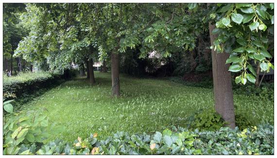 Jüdischer Friedhof Coppenbrügge