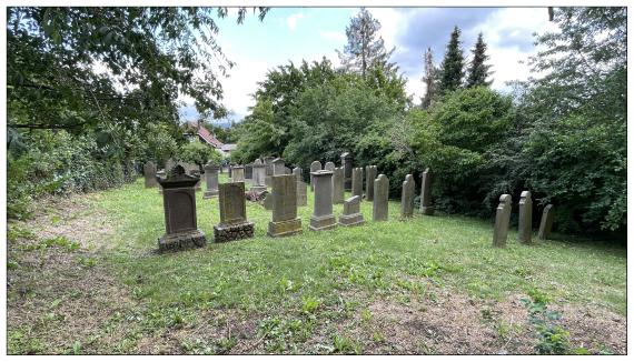 Jüdischer Friedhof Rodenberg Blickrichtung "Am Judenfriedhof"