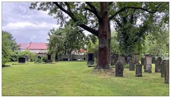 Jüdischer Friedhof Sachsenhagen