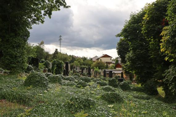 Jüdischer Friedhof Brüx - Židovský hřbitov Most-Souš