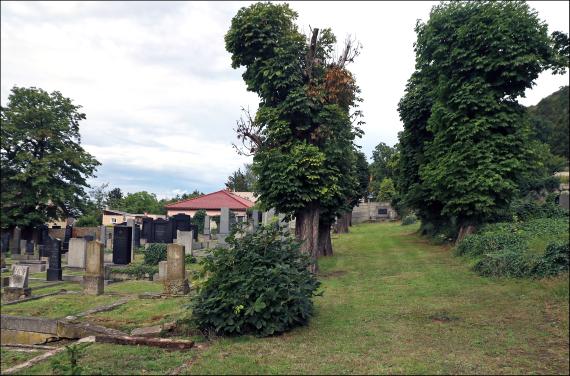 Jüdischer Friedhof Brüx - Most-Souš