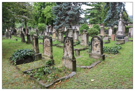 Neuer Israelitischer Friedhof / Dresden-Johannstadt