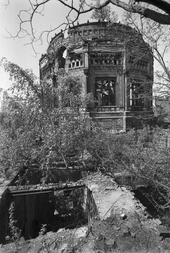 Ruins of the New Synagogue, trees and branches in the foreground