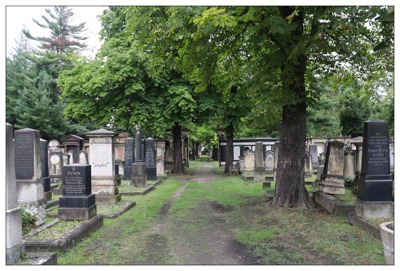 Neuer Israelitischer Friedhof / Dresden-Johannstadt