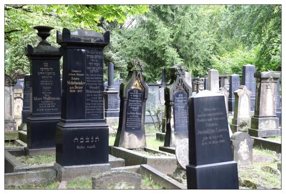 Neuer Israelitischer Friedhof / Dresden-Johannstadt
