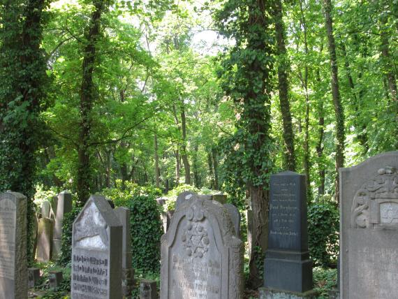 Side view of several gravestones, with trees behind them