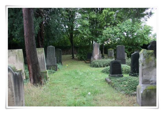 Blick auf den Friedhof. Mehrere typische Steine