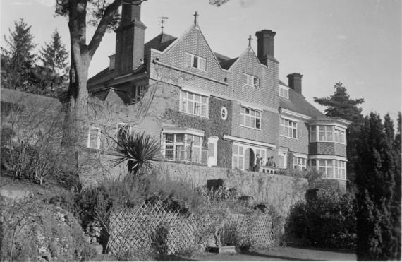 House surrounded by plants