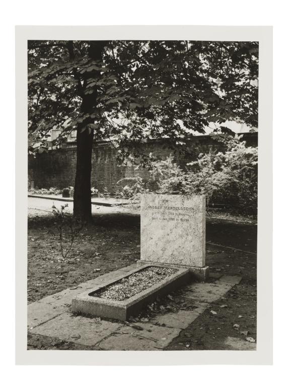 Gravestone with tree in the background