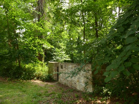 A quarry stone wall with a gate stands between the trees.