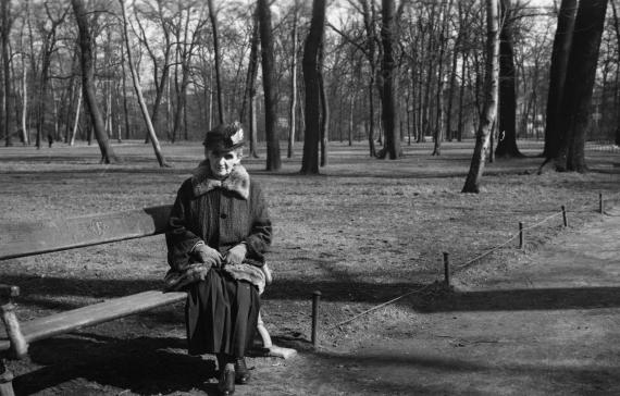 Photo of an elderly lady sitting on a park bench, her gaze directed towards the camera, in the background a meadow with numerous tall deciduous trees