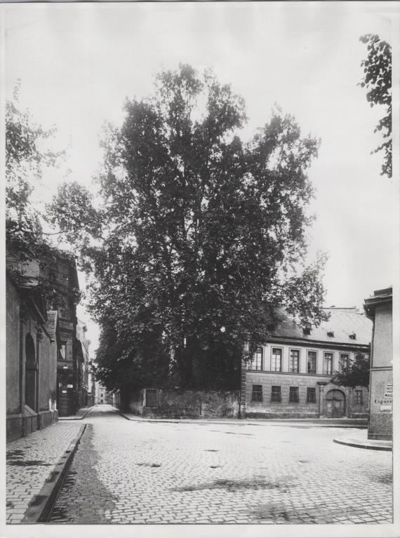 Black and white photo of a paved square with adjacent houses and trees