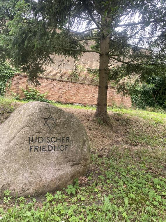 Im Vordergrund des Bildes steht der Gedenkstein für den jüdischen Friedhof. im Hintergrund kann man die Überreste der damaligen Mauer erkennen. Der Baum steht unter einem Nadelbaum.