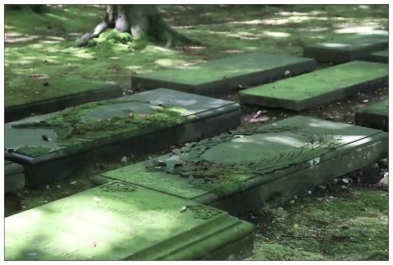 Jüdischer Friedhof Ilandkoppel - Begräbnisstätte der Liberalen Jüdischen Gemeinde zu Hamburg