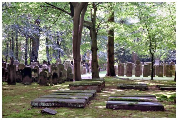 Jüdischer Friedhof Ilandkoppel - Begräbnisstätte der Liberalen Jüdischen Gemeinde zu Hamburg