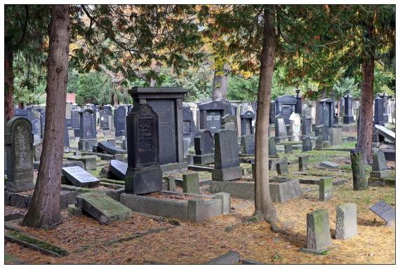 Neuer Israelitischer Friedhof -Fiedlerstraße