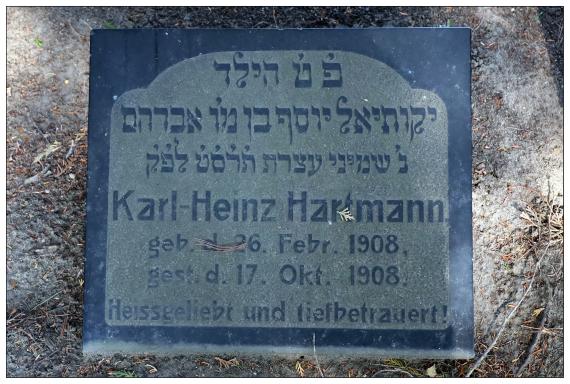 Neuer Israelitischer Friedhof / Dresden-Johannstadt