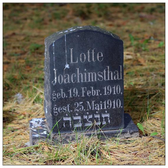 Jüdischer Friedhof Fiedlerstraße
