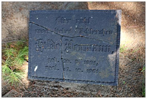 Neuer Israelitischer Friedhof / Dresden-Johannstadt