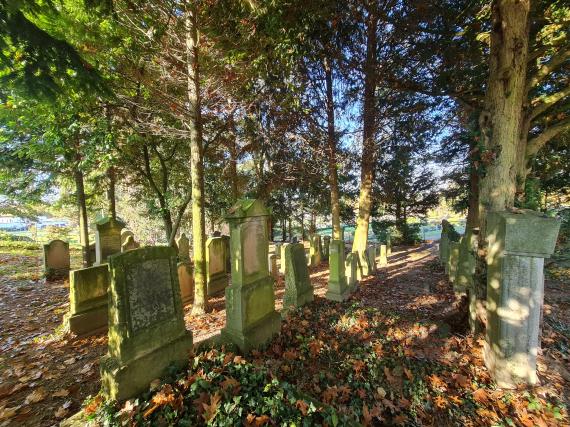 Jüdischer Friedhof im November 2024: man sieht das Gelände sowie zahlreiche Grabsteine unter hohen Bäumen