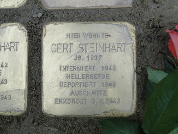 Stolperstein für Gert Steinhart in Dresden
