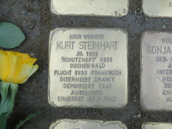 Stolperstein für Kurt Steinhart in Dresden