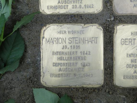 Stolperstein für Marion Steinhart in Dresden