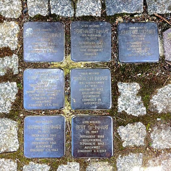 Stolpersteine für Familie Steinhart und Jenny Goldschmidt, Bernhardstraße 39, Dresden