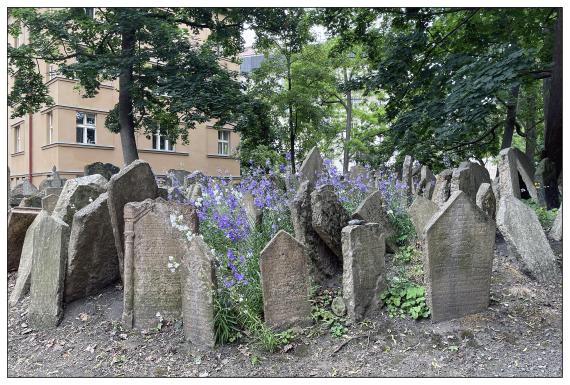 Alter Jüdischer Friedhof Prag