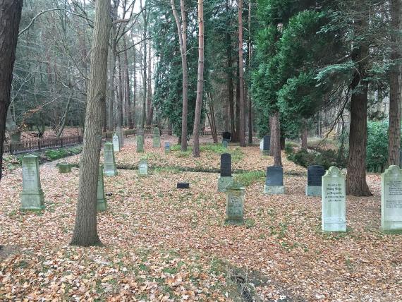 Mehrere Grabsteine in einem Friedhof mit vielen Bäumen