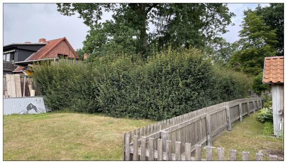 Jüdischer Friedhof im Scheunenviertel von Ahlden