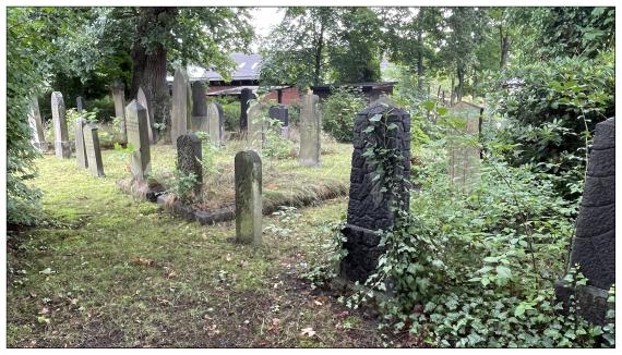 Jüdischer Friedhof Winsen (Luhe)