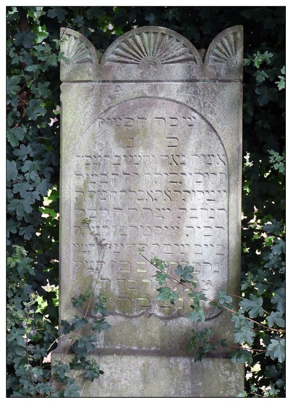 Jüdischer Friedhof Ahlden - Grabstein