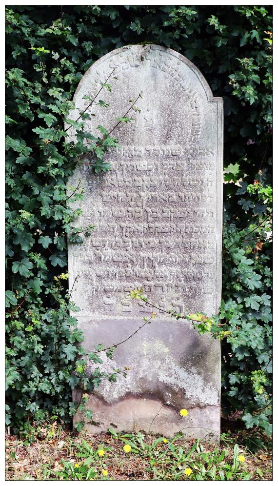 Jüdischer Friedhof Ahlden - Grabstein
